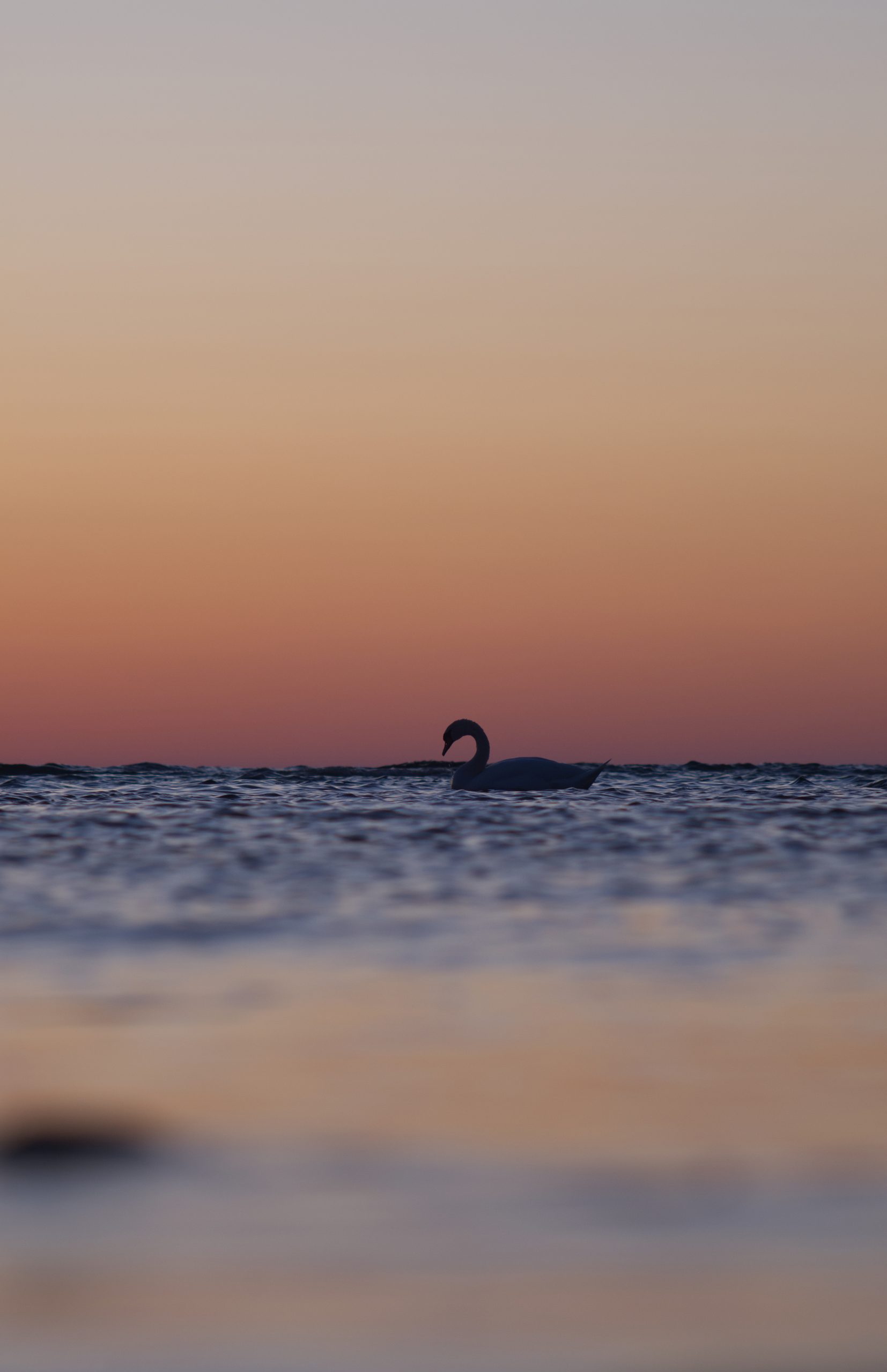 gotland by sunset